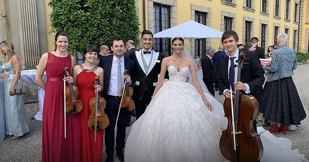 Streichquartett aus Hamburg bei einem Live-Auftritt