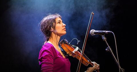 Streichquartett aus Nürnberg bei einem Live-Auftritt
